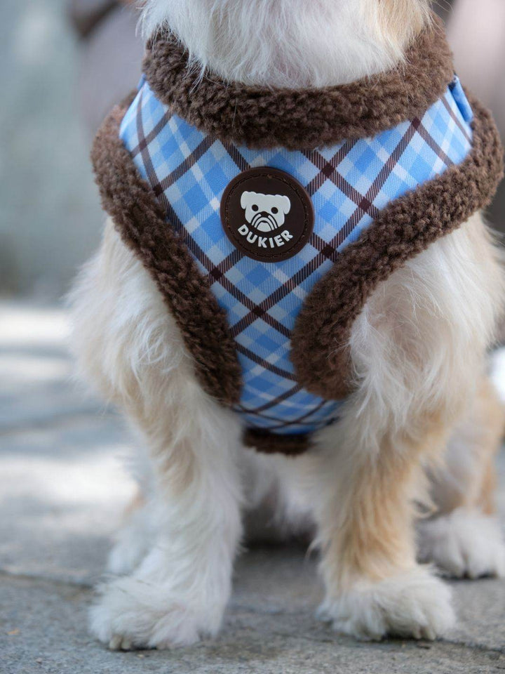 ARNES AJUSTABLE PARA PERRO TARTÁN BLUE MOCCA - Dukier