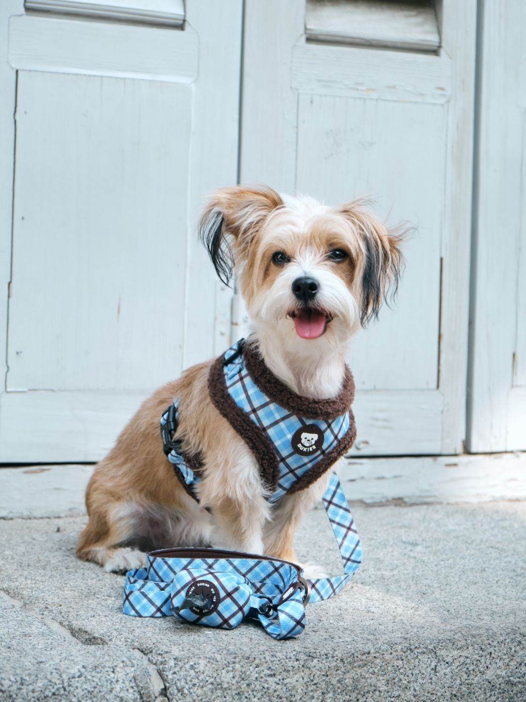 ARNES AJUSTABLE PARA PERRO TARTÁN BLUE MOCCA - Dukier