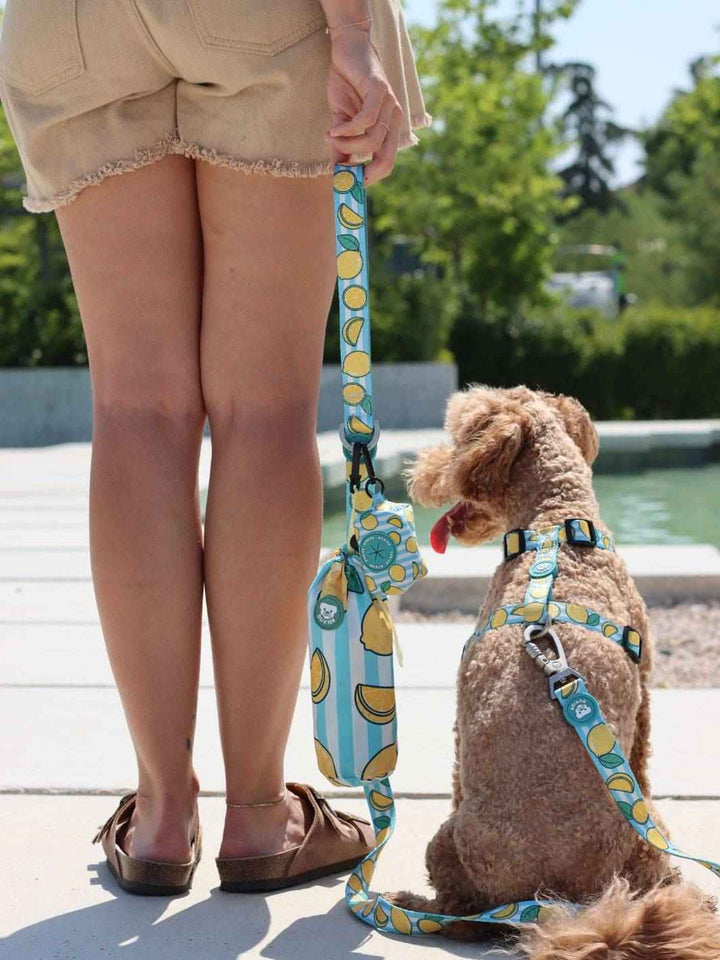 TOALLA PARA PERRO LEMONS - Dukier