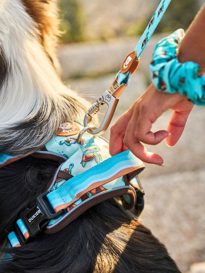 ARNES TRAIL PARA PERRO TURTLE