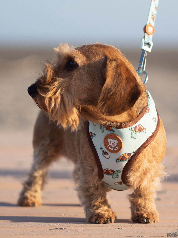 TURTLE REVERSIBLE DOG HARNESS