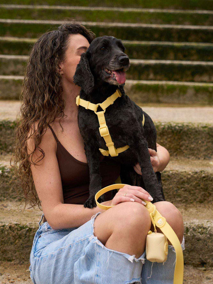 ARNES WATERPROOF PARA PERRO YELLOW