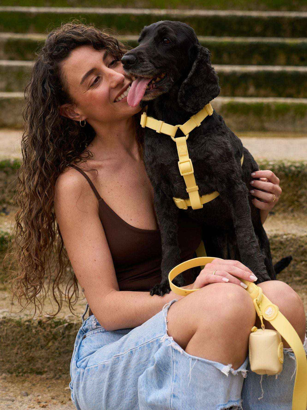 ARNES WATERPROOF PARA PERRO YELLOW