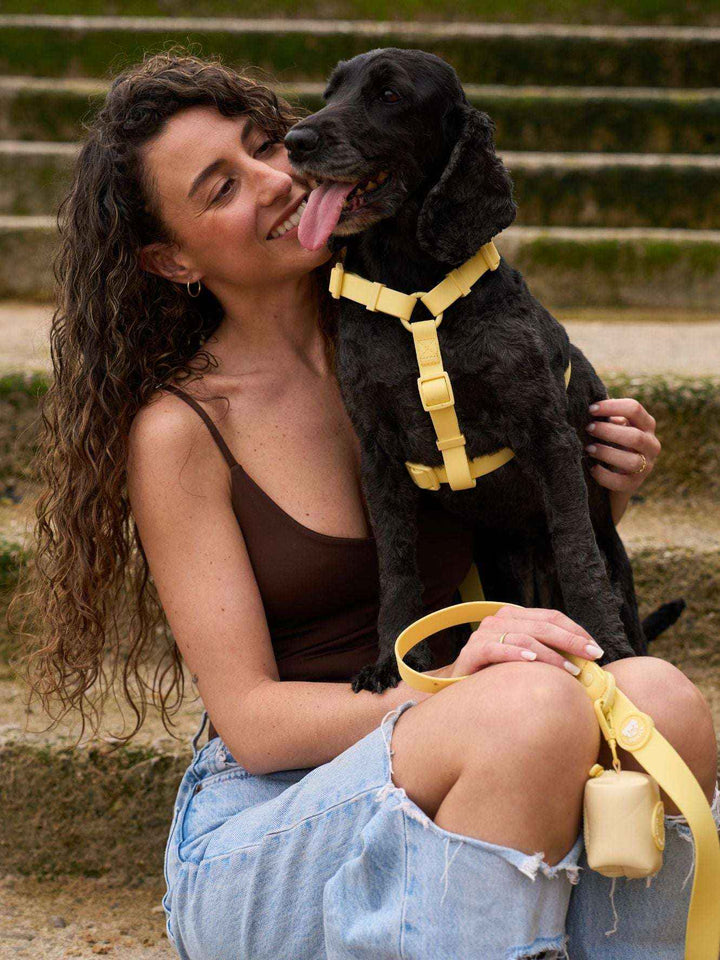 ARNES WATERPROOF PARA PERRO YELLOW