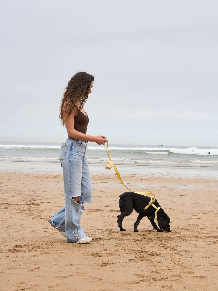 CORREA WATERPROOF PARA PERRO YELLOW