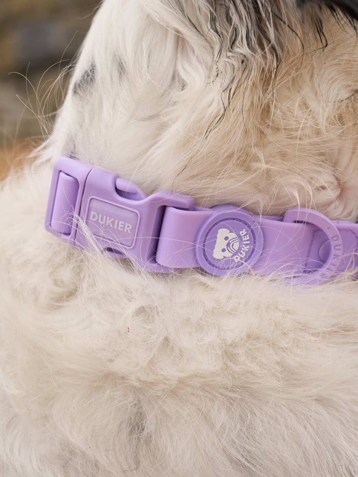 COLLAR WATERPROOF PARA PERRO PURPLE