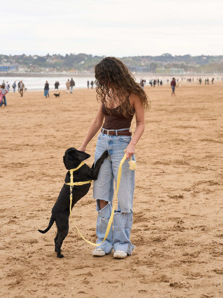 CORREA WATERPROOF PARA PERRO YELLOW