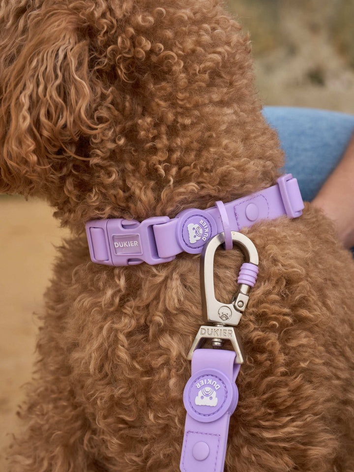 COLLAR WATERPROOF PARA PERRO PURPLE