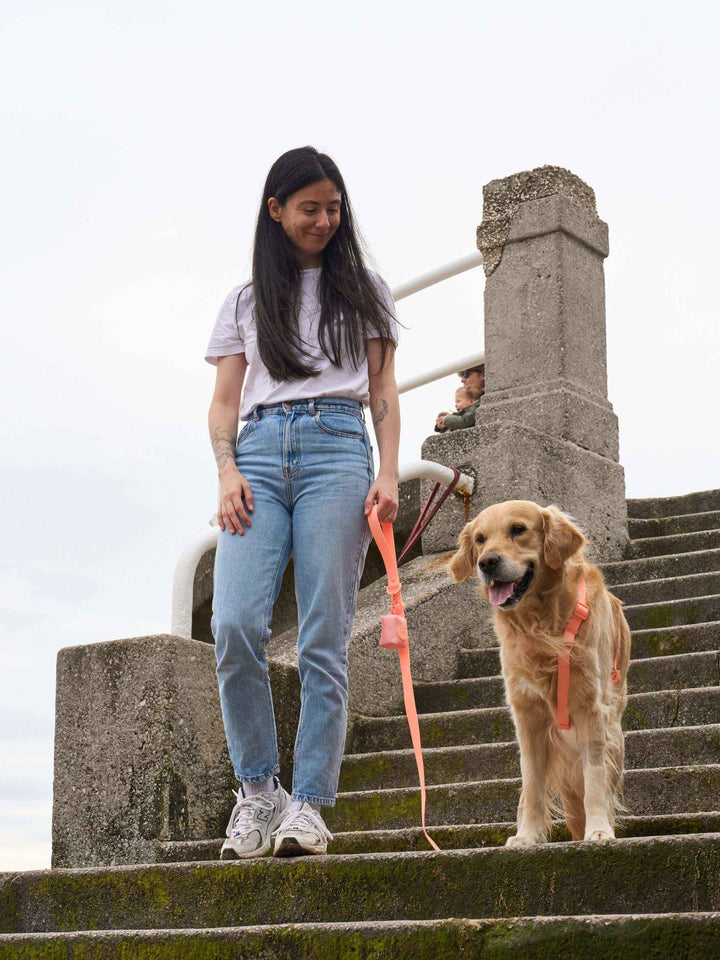 ARNES WATERPROOF PARA PERRO CORAL