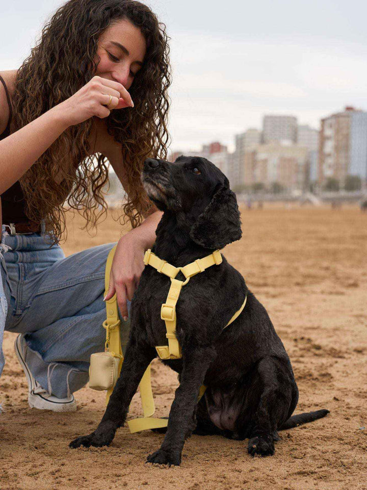 ARNES WATERPROOF PARA PERRO YELLOW