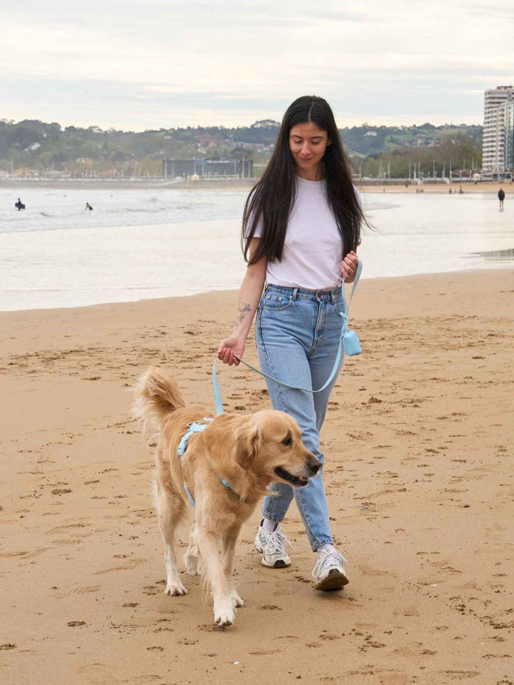 CORREA WATERPROOF PARA PERRO SKY BLUE