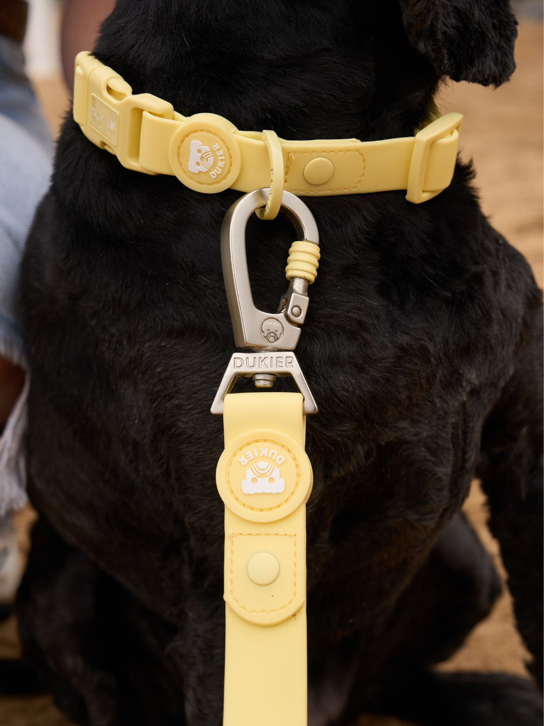 COLLAR WATERPROOF PARA PERRO YELLOW