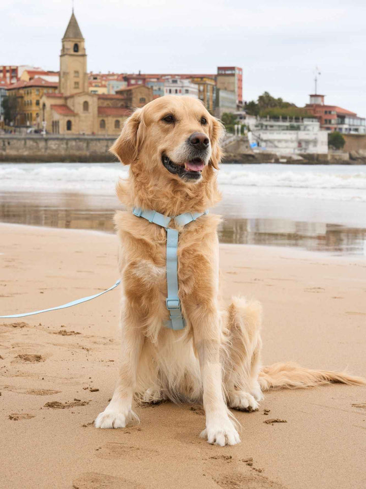 ARNES WATERPROOF PARA PERRO SKY BLUE