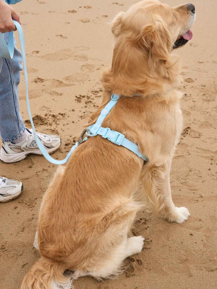 ARNES WATERPROOF PARA PERRO SKY BLUE