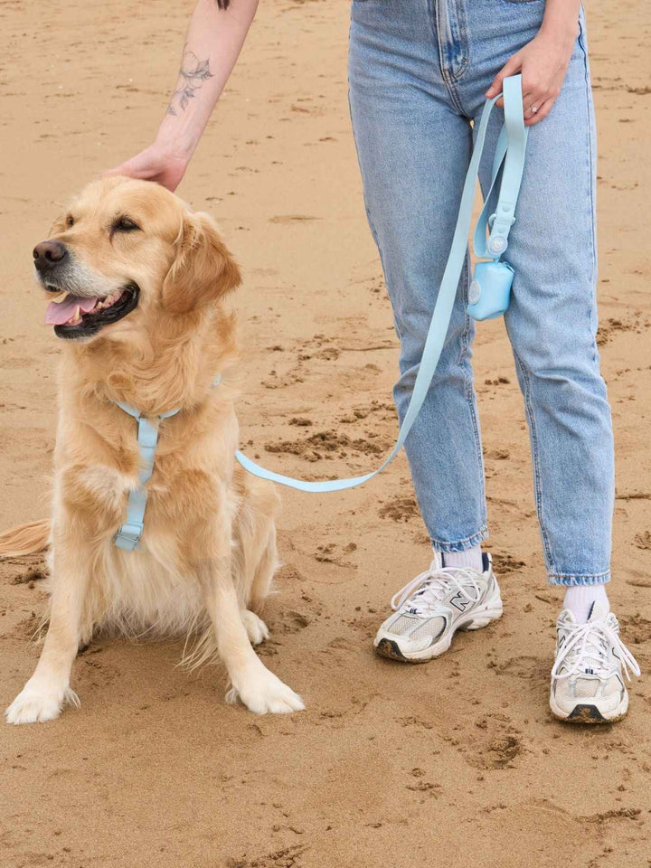 ARNES WATERPROOF PARA PERRO SKY BLUE