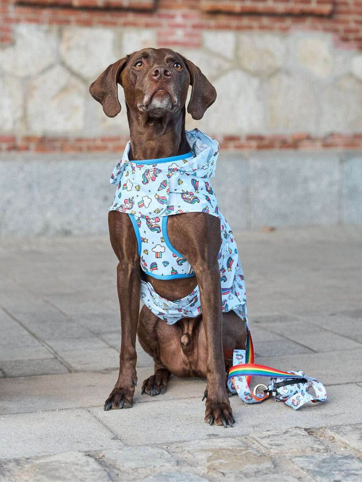CHUBASQUERO PARA PERRO UNICORNS