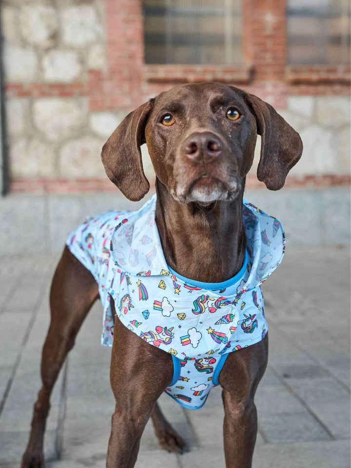 CHUBASQUERO PARA PERRO UNICORNS