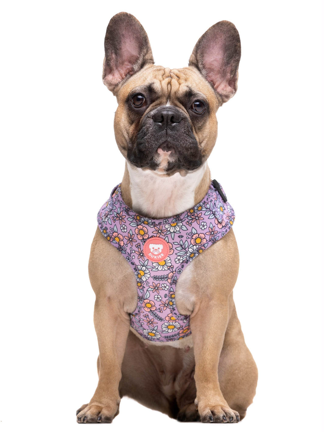 ARNES AJUSTABLE PARA PERRO FLOWER POWER - Dukier