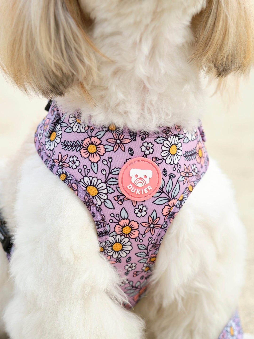 ARNES AJUSTABLE PARA PERRO FLOWER POWER - Dukier