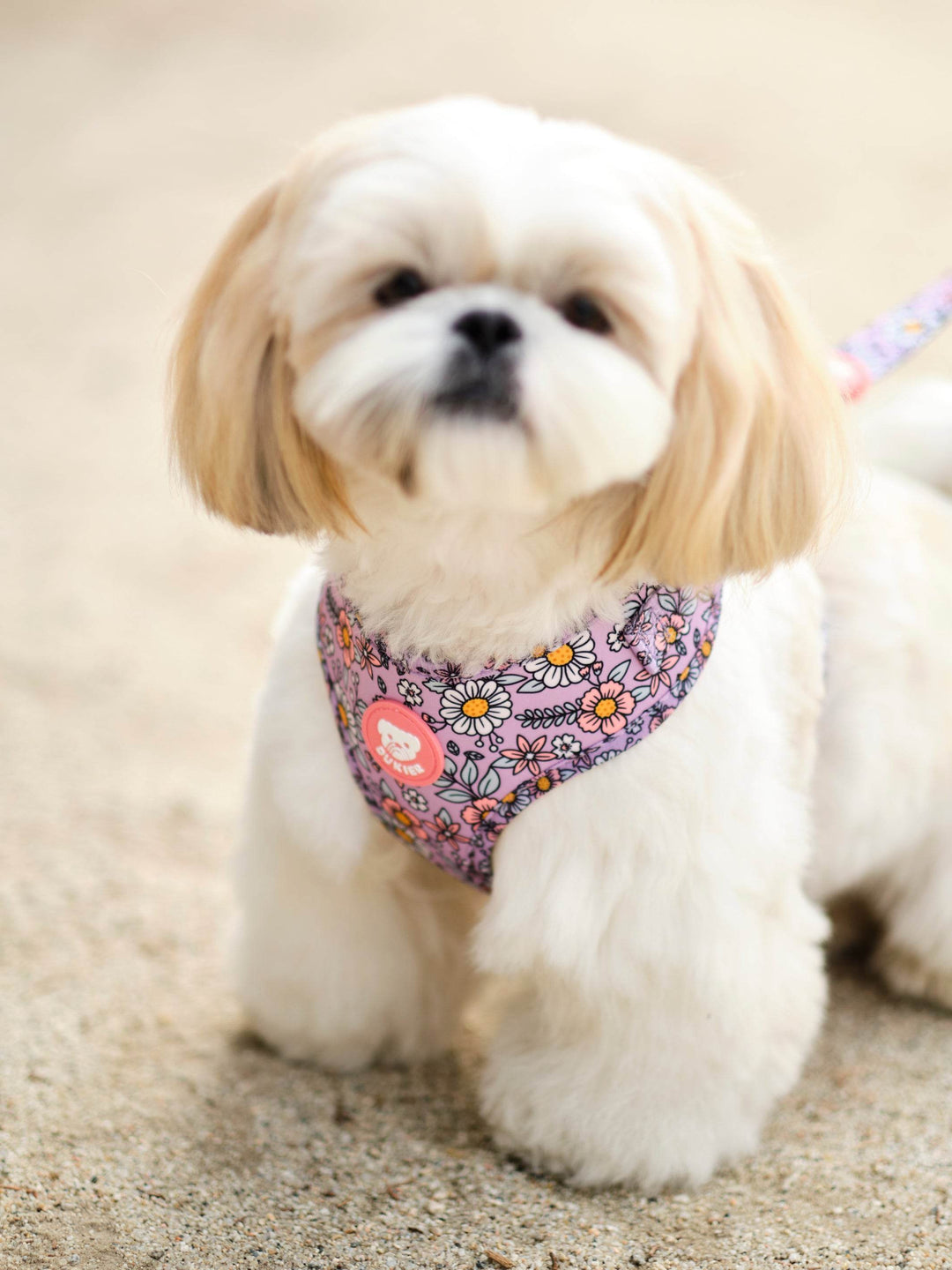 ARNES AJUSTABLE PARA PERRO FLOWER POWER - Dukier