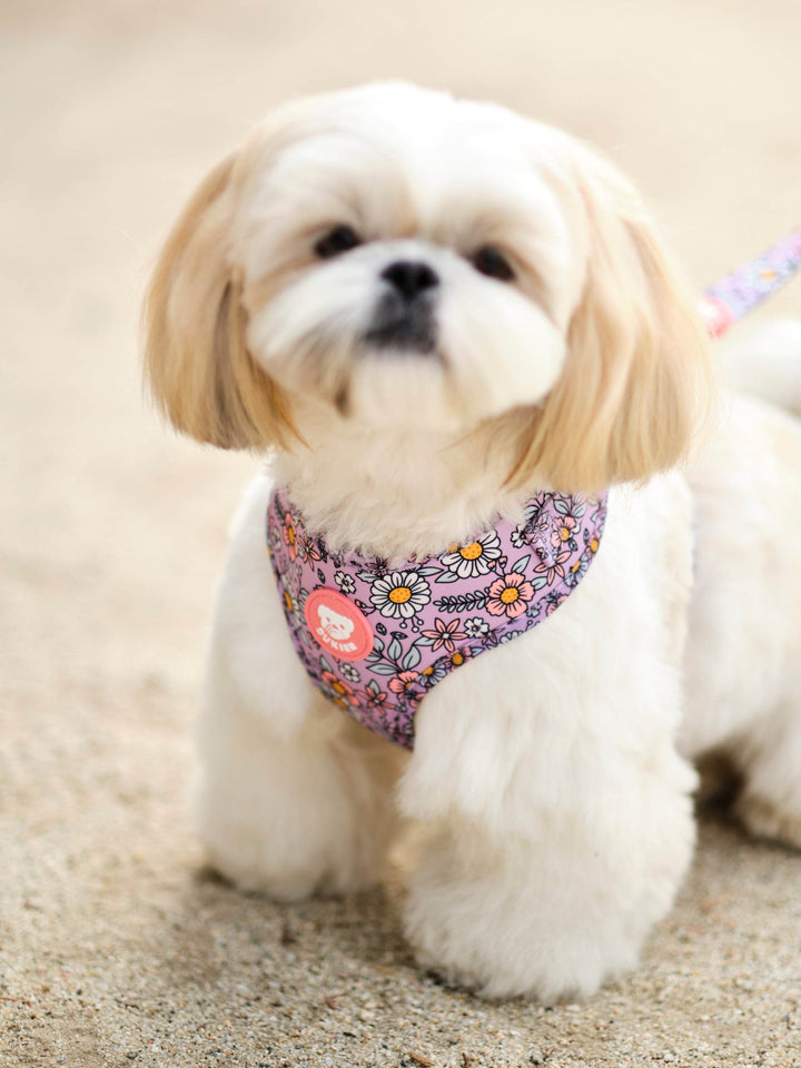 ARNES AJUSTABLE PARA PERRO FLOWER POWER - Dukier