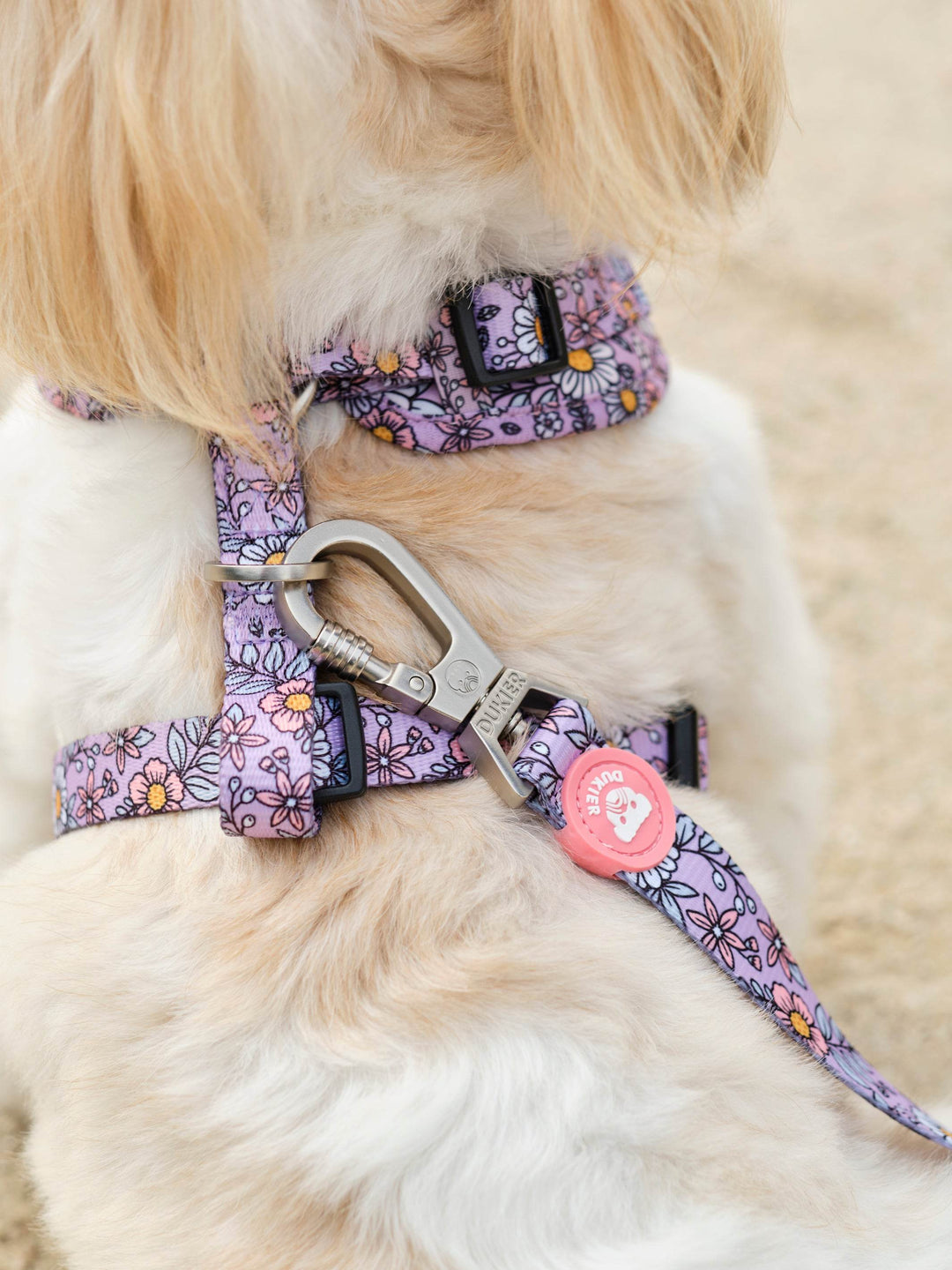 ARNES AJUSTABLE PARA PERRO FLOWER POWER - Dukier
