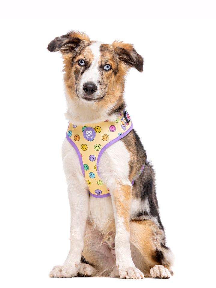 SMILEY ADJUSTABLE DOG HARNESS