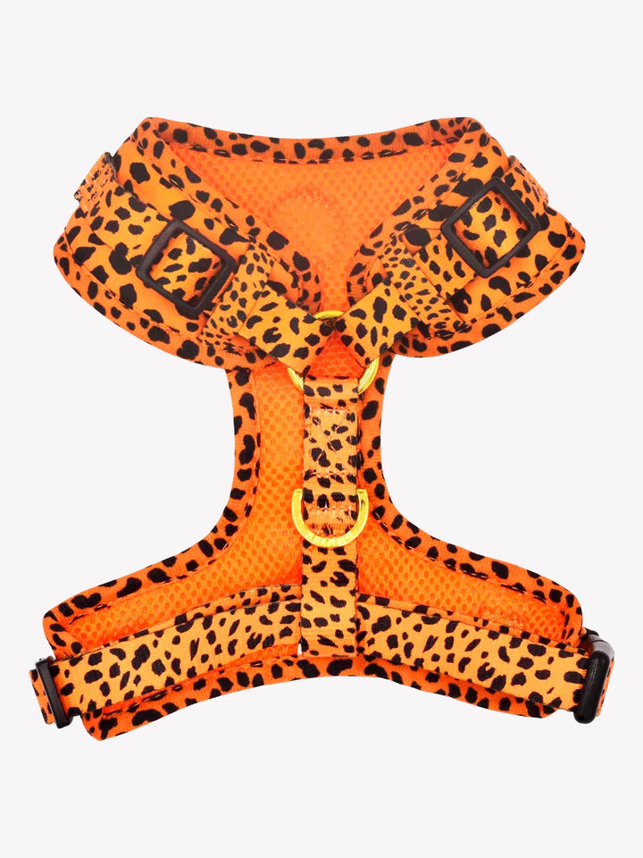 ARNÉS AJUSTABLE PARA PERRO CHEETAH GOLD - Dukier