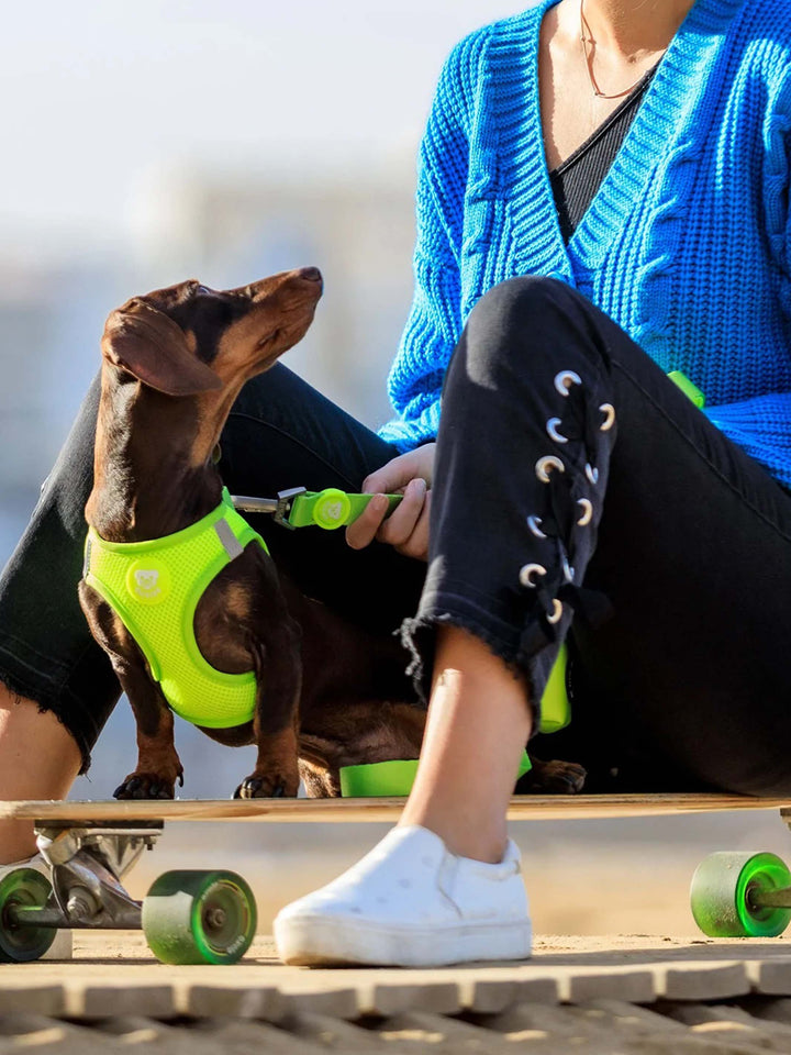 DOG BODY HARNESS LIME