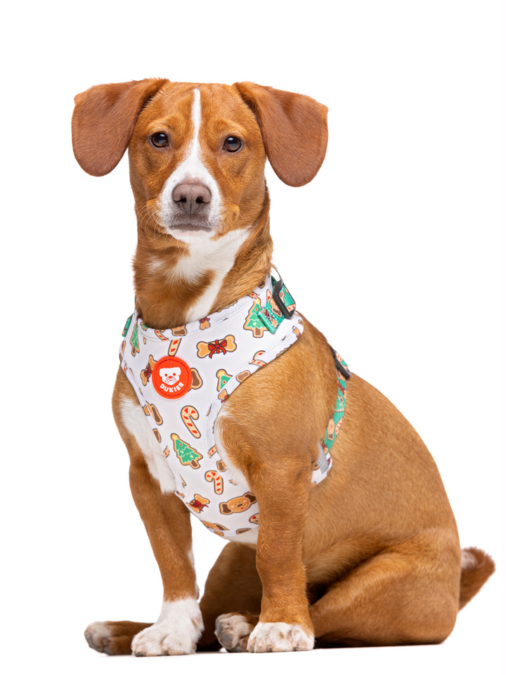 ARNÊS AJUSTÁVEL PARA CÃES GINGER BREAD