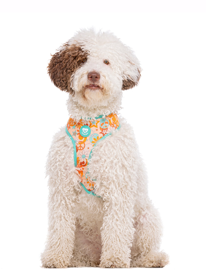 PEACE REVERSIBLE DOG HARNESS