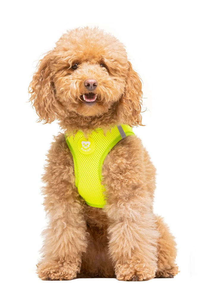 DOG BODY HARNESS LIME