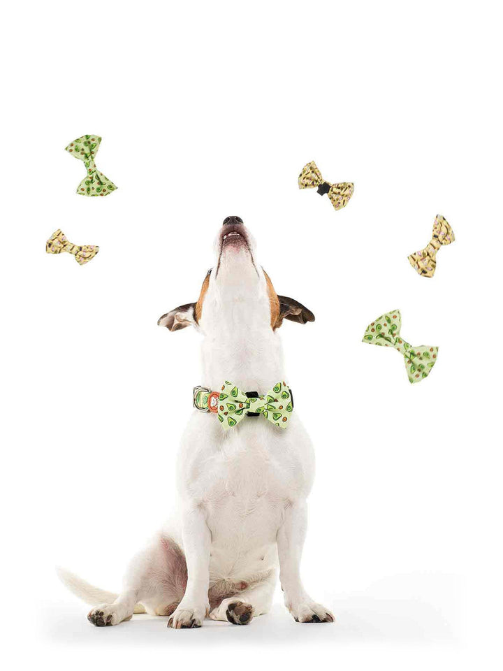AVOCADO BOW TIE FOR DOGS