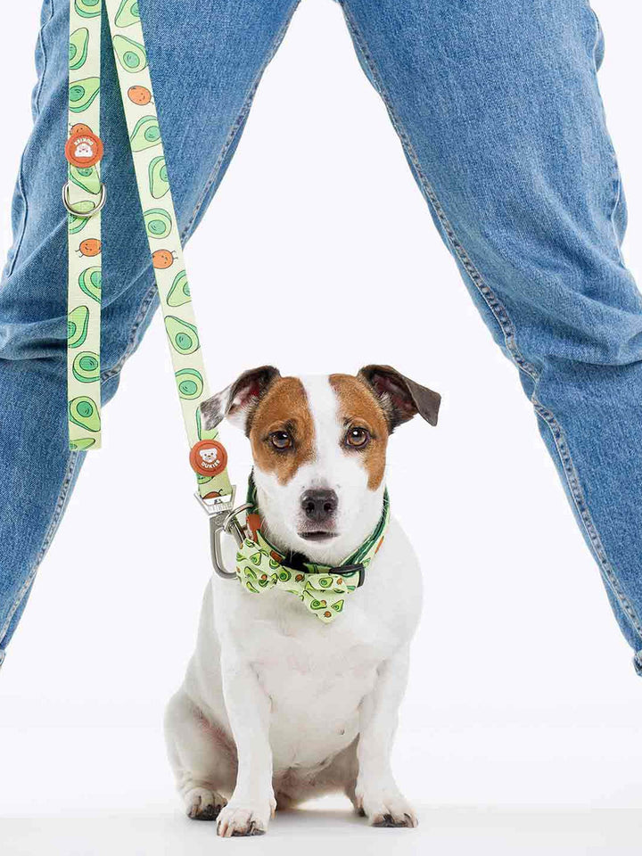 AVOCADO BOW TIE FOR DOGS