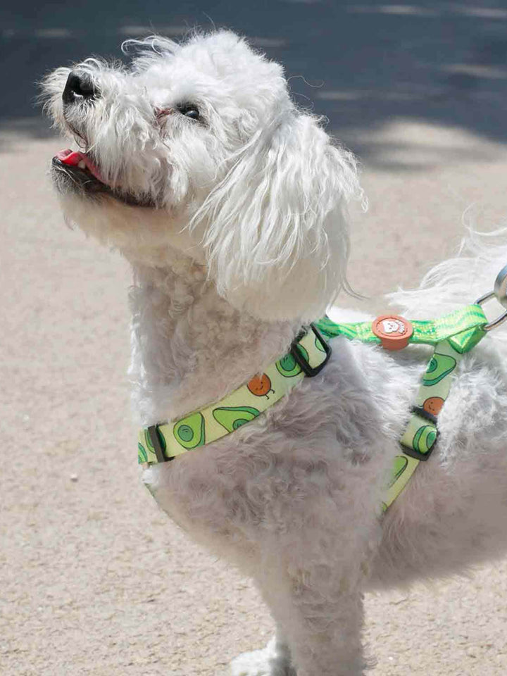ARNÉS CLÁSICO PARA PERRO AVOCADO