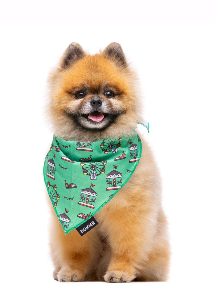 BANDANA HEART