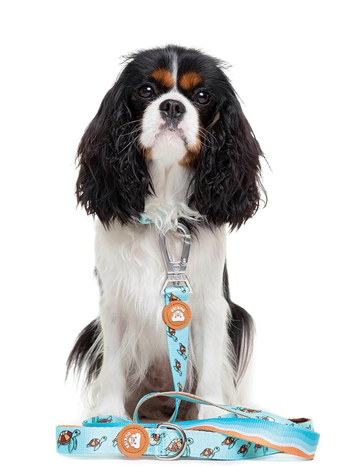 TURTLE LEASH FOR DOGS