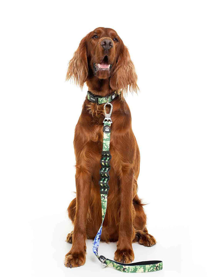 CAMO DOG COLLAR