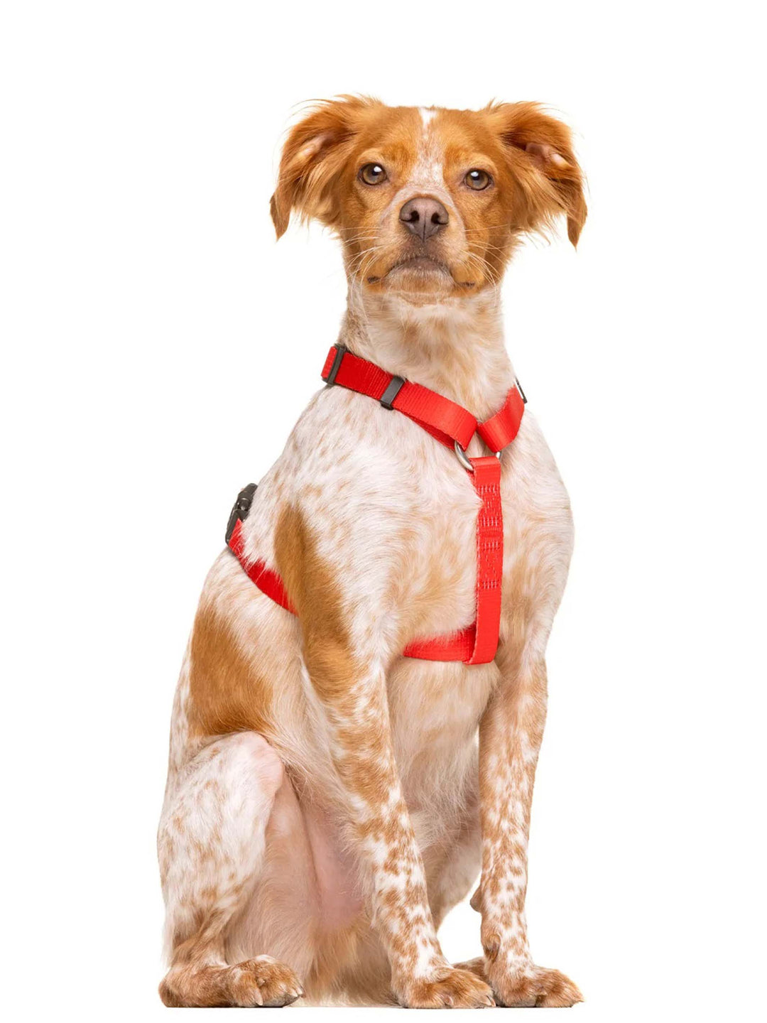 RED CLASSIC DOG HARNESS