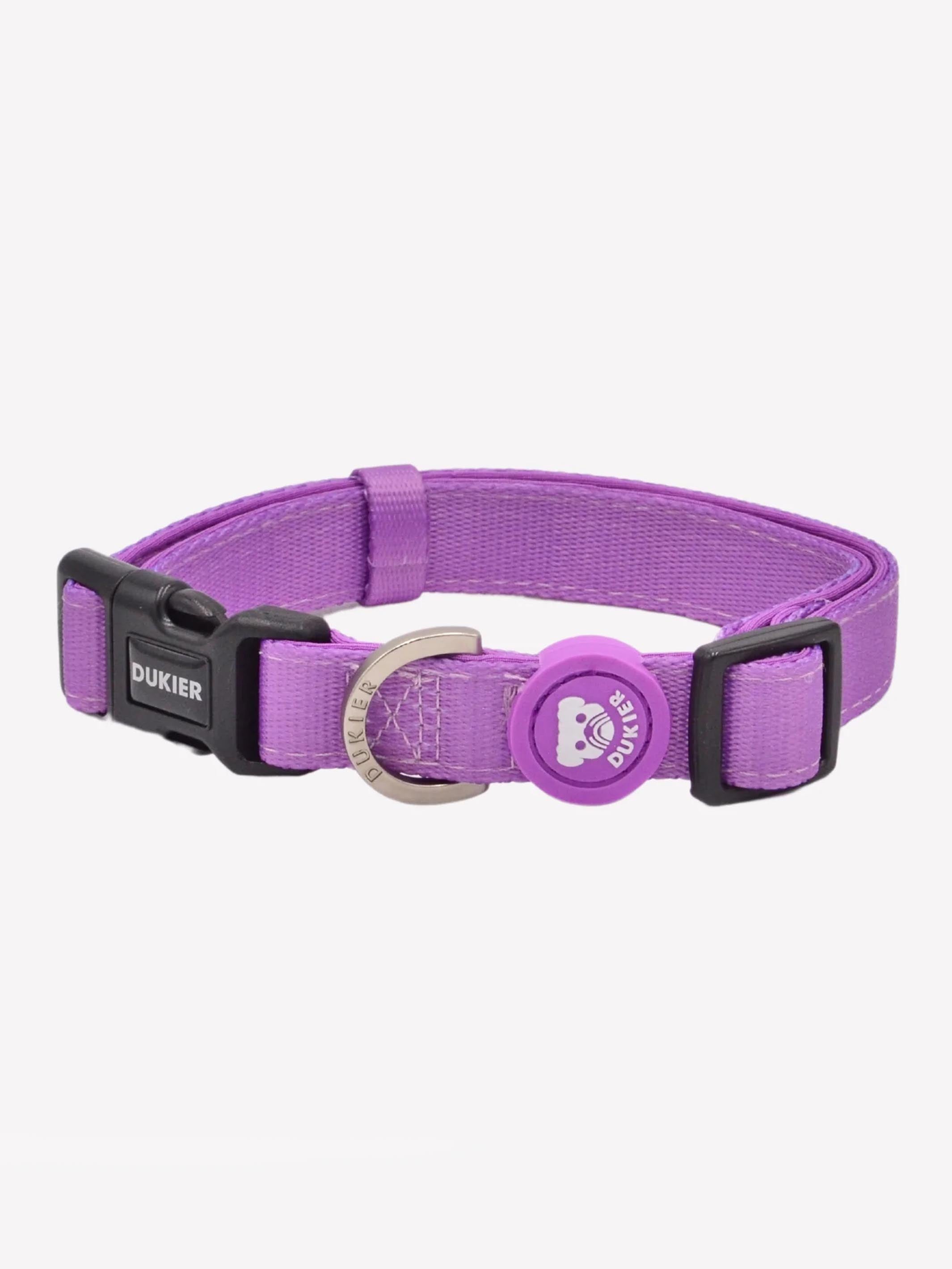 COLLIER PURPLE POUR CHIEN