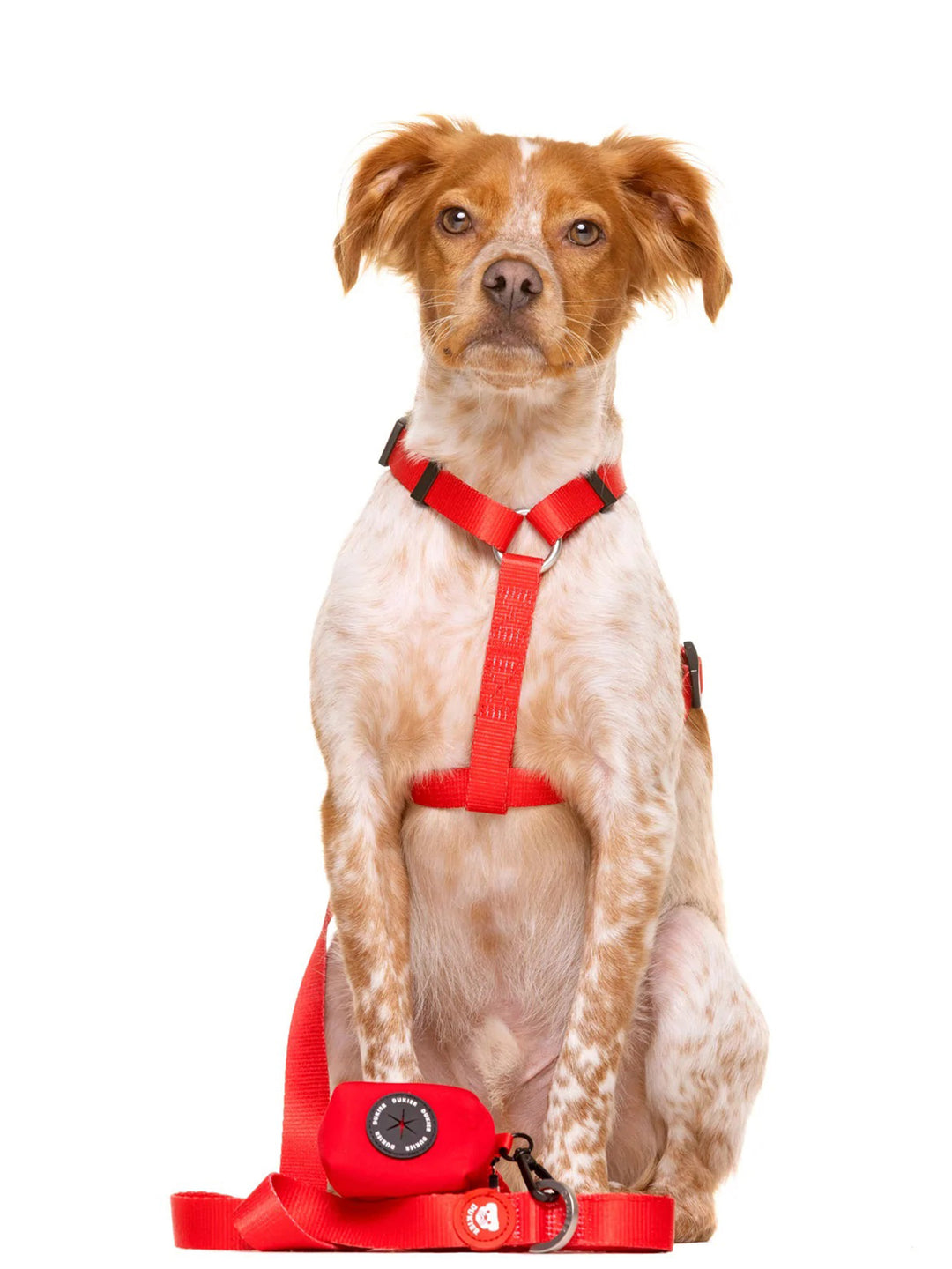 CORREA PARA PERRO RED