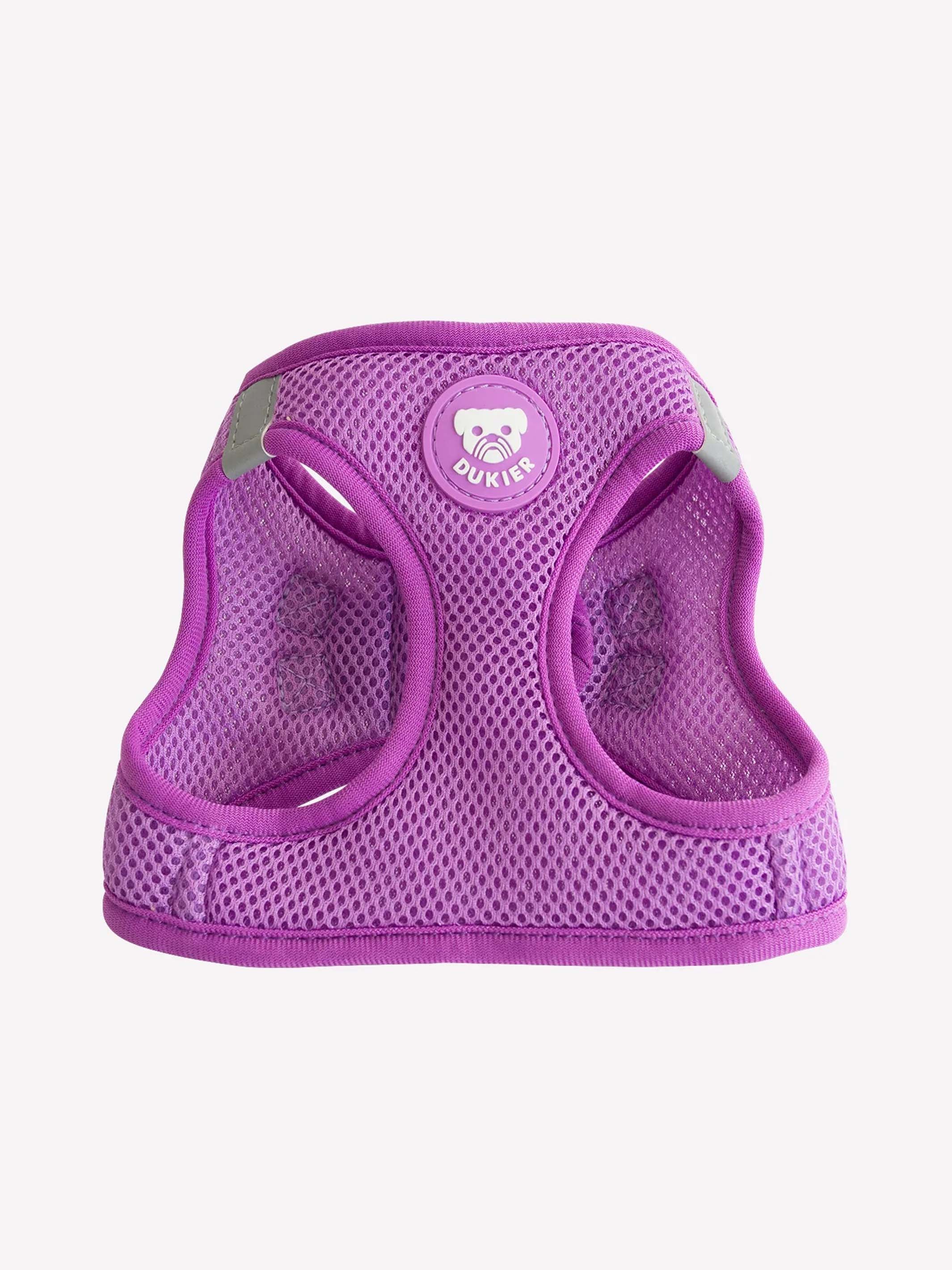 HARNAIS BODY PURPLE POUR CHIEN