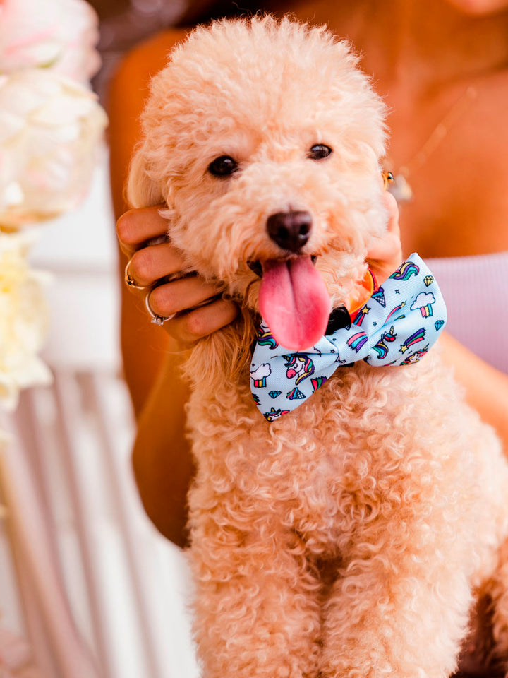 UNICORNS BOW TIE FOR DOGS
