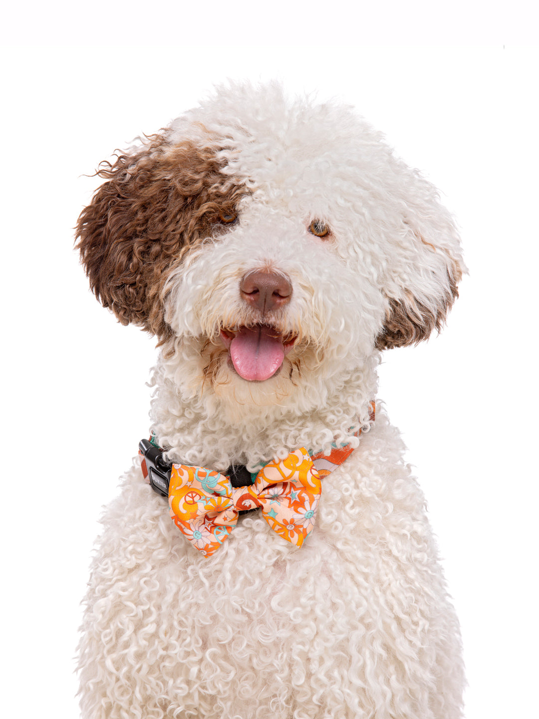 LAÇO PARA CÃO PEACE