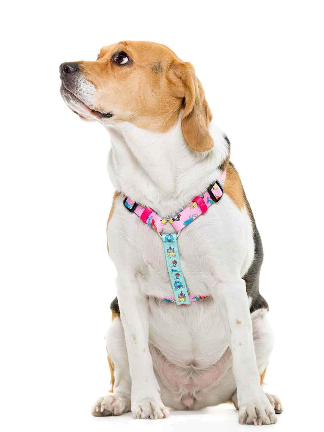 ARNÉS CLÁSICO PARA PERRO PRINCESS