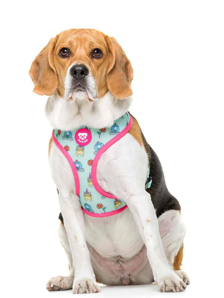 REVERSIBLE PRINCESS HARNESS FOR DOGS