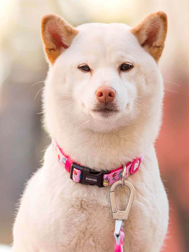 PRINCESS DOG COLLAR