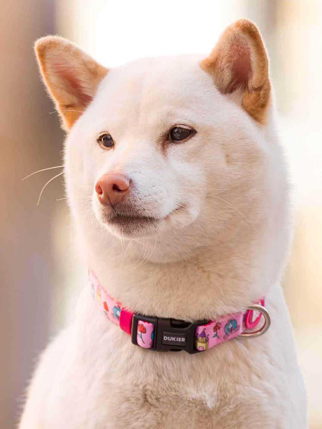 PRINCESS DOG COLLAR