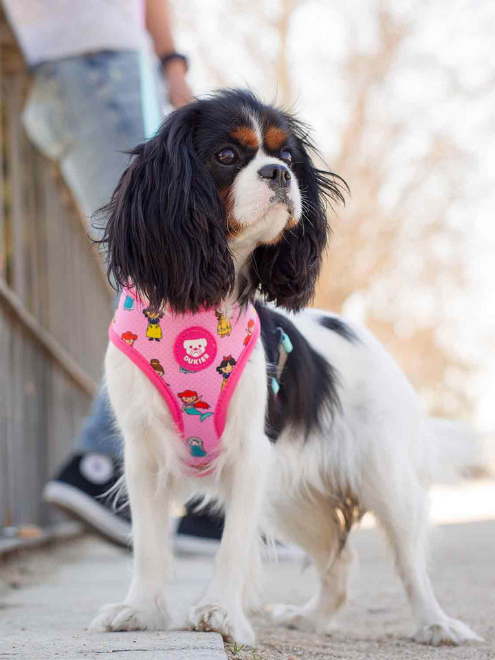REVERSIBLE PRINCESS HARNESS FOR DOGS