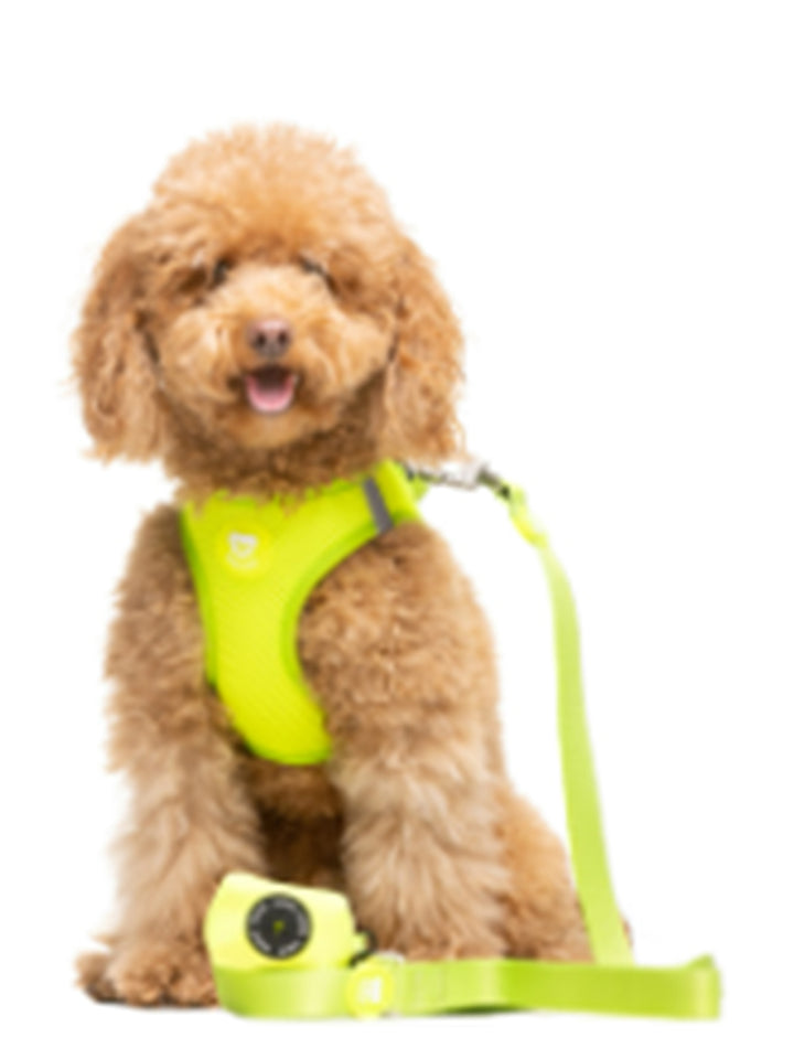 PORTA BOLSAS CACA LIME